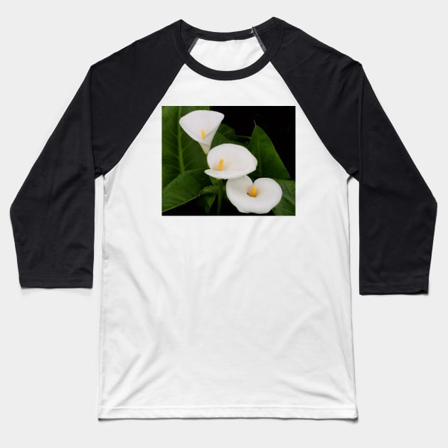 Arum lillies Baseball T-Shirt by Michaelm43